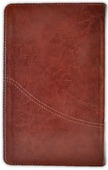 FARSI BIBLE / FARSI / PERZISCHE BIJBEL