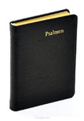 PSALMBOEK P22 LEER GOUDSNEE