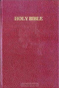 ENGELSE BIJBEL KJV E9A - 2222531608