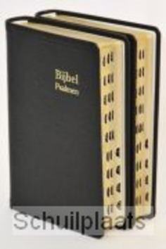 HERENZAKBIJBEL H34D LEER GOUDSNEE INDEX - 2222531780
