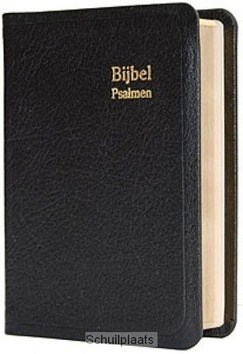 DAMESZAKBIJBEL D32D LEER GOUDSNEE - 2222532140