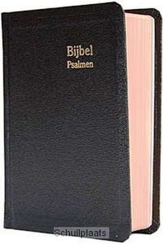 DAMESZAKBIJBEL D31D DATHEEN KUNSTL KLEUR - 2222532221