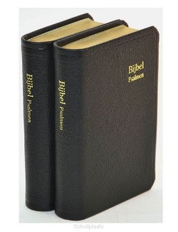 DAMESZAKBIJBEL D32R RITMISCH LEER GOUDSN - 222253299X
