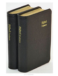 DAMESZAKBIJBEL D32R RITMISCH LEER GOUDSN