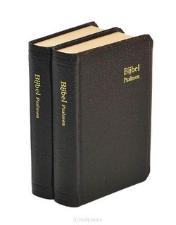 HERENZAKBIJBEL H31R RITMISCH KUNSTLEER - 2222533023