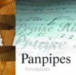PRAISE PANPIPES - VARIOUS - 5014182040322