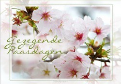 WENSKAART GOEDE PAASDAGEN - PASEN L4Y - 65508010