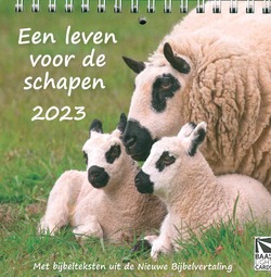 BUREAU KALENDER LEVEN VOOR DE SCHAPEN 23 - 655088512