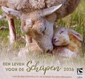 BUREAU KALENDER LEVEN VOOR DE SCHAPEN 26 - 655088515