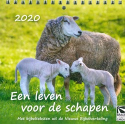 BUREAUKALENDER 2021 LEVEN VOOR DE SCHAPE - 65508951