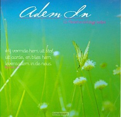 ADEM IN - 8713542009739
