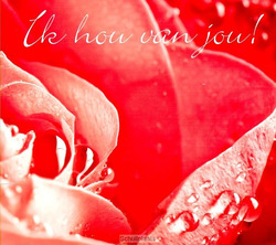 IK HOU VAN JOU! - 8713542010063