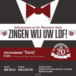 ZINGEN WIJ UW LOF! - DAVID, MANNENKOOR - 8713986991157