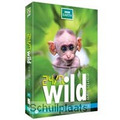 DVD 24/7 WILD