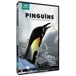 DVD PINGUINS UNDERCOVER (EO) - 8715664109885