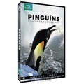 DVD PINGUINS UNDERCOVER (EO)