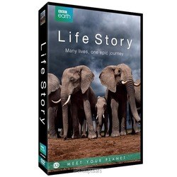 DVD LIFE STORY EO-VERSIE - 8715664115343