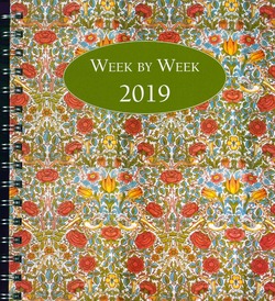 WEEK BY WEEK AGENDA 2019 (18X22,5) - 2019 - 8716951290903