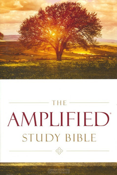 AMPLIFIED STUDY BIBLE COLOUR HARDCOVER - 9780310440307