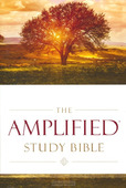 AMPLIFIED STUDY BIBLE COLOUR HARDCOVER