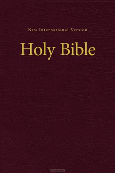 NIV PEW BIBLE - 9780310446231