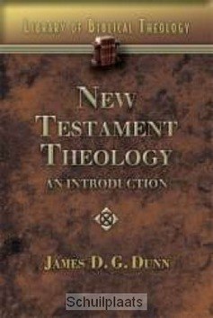 NEW TESTAMENT THEOLOGY: AN INTRODUCTION - DUNN, JAMES - 9780687341207