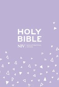 NIV  POCKET BIBLE WITH ZIP