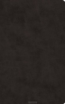 ESV - LP VALUE THINLINE BIBLE - BLACK, IMITATION LEATHER - 9781433555978