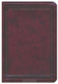 ESV LARGE PRINT COMPACT BIBLE