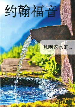 CHINEES JOHANNES EVANGELIE - 9783866988743