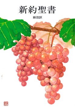 JAPANS NIEUWE TESTAMENT - 9784264020110