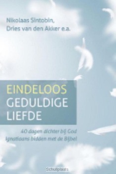 EINDELOOS GEDULDIGE LIEFDE - SINTOBIN, NIKOLAAS; AKKER, DRIES VAN DEN - 9789021170367