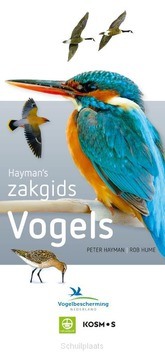 HAYMAN'S ZAKGIDS VOGELS - HAYMAN, PETER - 9789021575353