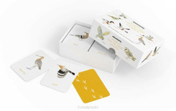 VOGELS VAN DE LAGE LANDEN MEMOSPEL - KOLK, ELWIN VAN DER - 9789021583303