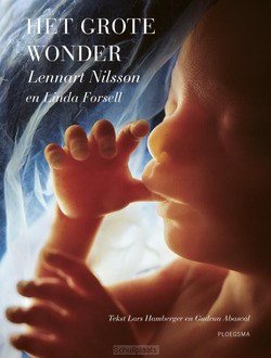 HET GROTE WONDER - HAMBERGER, LARS; ABASCAL, GUDRUN - 9789021678689