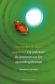 HOE WORDEN DE DODEN OPGEWEKT ? - VRIES, H.U. DE - 9789023925699