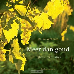 MEER DAN GOUD - VERBOOM, W. - 9789023928058