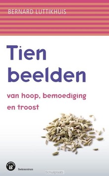 TIEN BEELDEN - LUTTIKHUIS, BERNARD - 9789023970835