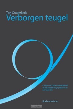VERBORGEN TEUGEL - OUWERKERK, TON - 9789023971115