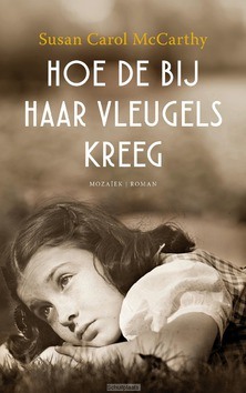HOE DE BIJ HAAR VLEUGELS KREEG - MCCARTHY, SUSAN CAROL - 9789023977070