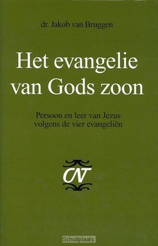 HET EVANGELIE VAN GODS ZOON - BRUGGEN - 9789024261352