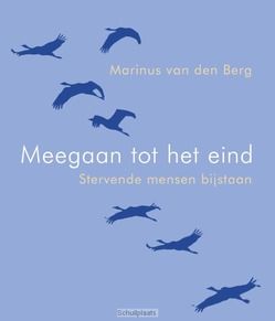 MEEGAAN TOT HET EINDE - BERG, MARINUS VAN DEN - 9789025905804