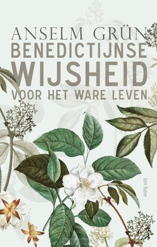 BENEDICTIJNSE WIJSHEID VOOR HET WARE LEV - GRÜN, ANSELM; DUFNER, MEINRAD - 9789025907259