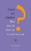 WAT DOE IK HIER IN GODSNAAM?
