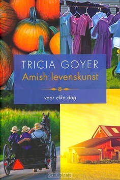 AMISH LEVENSKUNST VOOR ELKE DAG - GOYER, TRICIA - 9789029724333