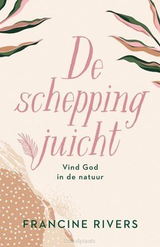 DE SCHEPPING JUICHT - RIVERS, FRANCINE; STOCK BUURSMA, KARIN - 9789029730587