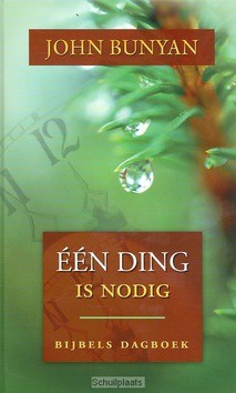 EEN DING IS NODIG - BUNYAN - 9789033121951