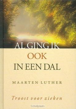 AL GING IK OOK IN EEN DAL - LUTHER, MAARTEN - 9789033124976