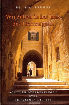 WIJ ZULLEN IN HET HUIS DES HEEREN GAAN - BRUGGE, A.A. - 9789033125102