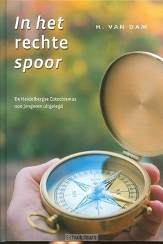 IN HET RECHTE SPOOR - DAM, H. VAN - 9789033125416
